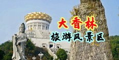 大鸡巴操妇女逼中国浙江-绍兴大香林旅游风景区